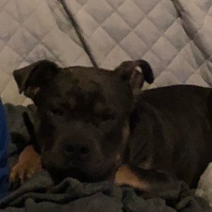 Meet your Posher, Rrobert